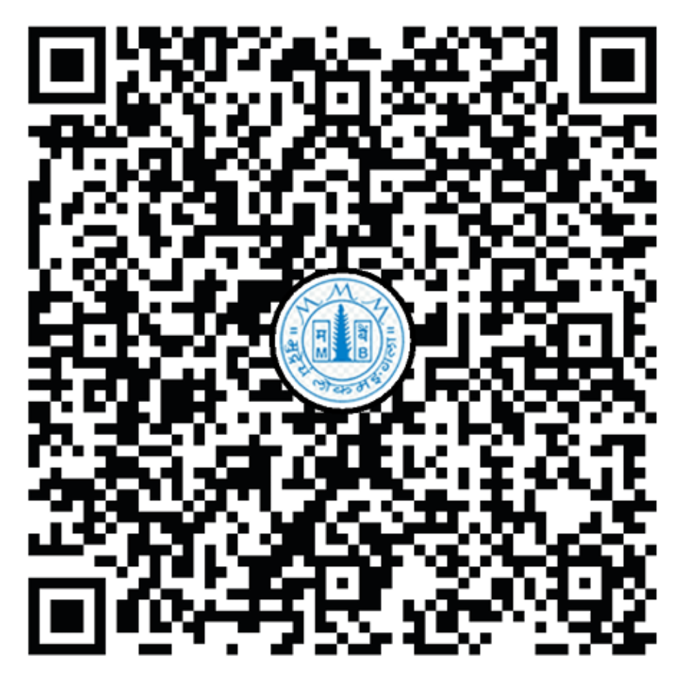 UPI QR Code